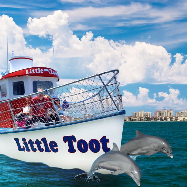 Little Toot Dolphin Cruise
