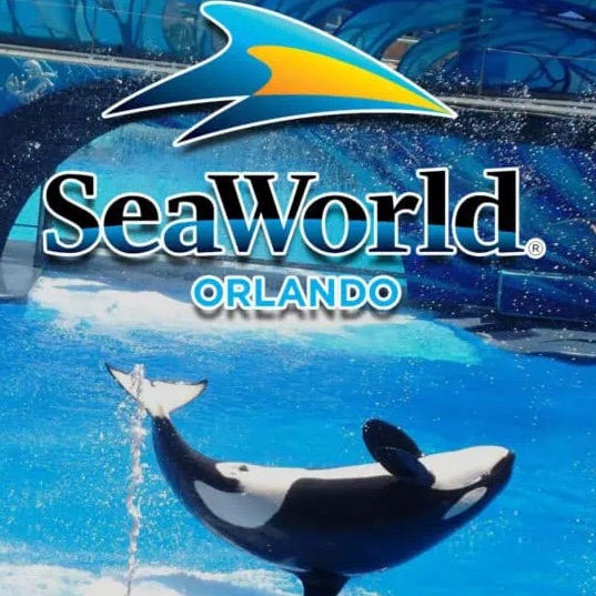 Sea World